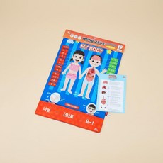 살림덕후 신체놀이교구 단어 몸배우기 어린이집 학습벽보, 1세트, ONE, 3세