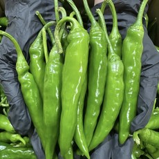 맵고 부드러운 햇 청양고추 특A급, 1개, 300g
