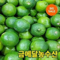 재구매1위 금메달농수산 직수입 프리미엄 멕시코 생라임, 1개, 대과 10개