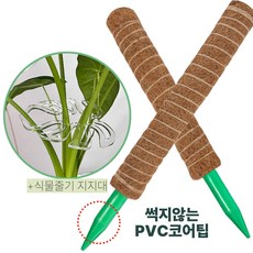 글로우바이 썩지않는 플라스틱 수태봉 코코봉 식물지지대 52cm, 2개