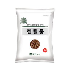 대한농산 브라운렌틸콩 5kg 렌틸콩, 1개