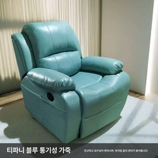 전동 의자 거실 가죽 1인용 독서 소파 안락 리클라이너, 전동 170도 USB 270도 진동 마사지, 티파니블루 내구성 통기성 가죽