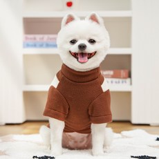 투니스 반려동물 스타일리시 배색 기모 맨투맨, 브라운, 1개