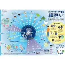 문부과학성_가족당 1장_포스터_생물은 모두 세포에서_교토대 iPS 세포 연구소 감독 A2 판