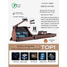워터 로잉머신 PRO MAX 노젓기 전신 운동기구, 자가발전-유럽호두나무-접이식, 단일 모델