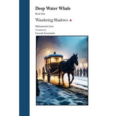 (영문도서)Wandering Shadows Paperback, Faranak Zarrinabadi, English, 9781069726711