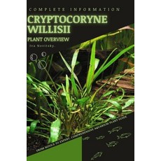 (영문도서) Cryptocoryne Willisii: From Novice to Expert. Comprehensive Aquarium Plants Guide Paperback, Independently Published, English, 9798853902497