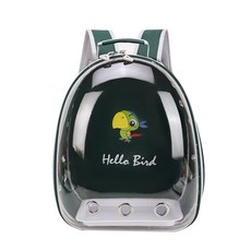 앵무새 이동가방 백팩 투명 반려 동물 산책 이동장 앵무새 잉꼬 외출용 가방 조류 용품, 경량패키지(스탠딩스틱제외), 만화 스타일(녹색)