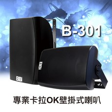 NaGaSaKi B-301 卡拉OK壁掛式喇叭