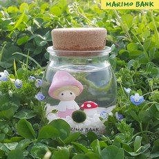 화이트 버섯돌이DIY세트-마리모중(10mm)포함, 1개