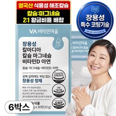 비타민마을 장용성 칼마디아 칼슘 마그네슘 비타민D 아연 33g, 30정, 6개
