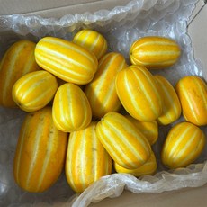 산지직송 성주참외 중소과 가정용 달콤아삭 제철과일, 1박스, (중소과)5kg