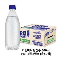 라인바싸 탄산수 500ml PET 3종 2박스 (총40입), 2개
