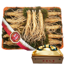 대한인삼사 인삼선물세트 풍기인삼 750g, 1개