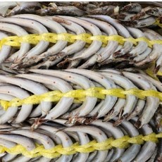 웰빙미래 양미리 생물양미리 반건조양미리 20마리 40마리 술안주 간식 반찬용 속초양미리, 1세트, 20마리 (생물그대로)