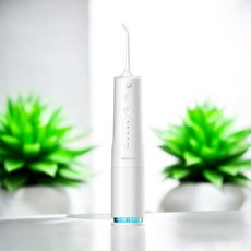 단미 구강세정기 휴대용 치아세정기 물치실 360ml 클린픽 CLS04Y, CLS04Y(화이트)