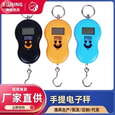 便攜式手提電子秤 帶掛鉤 迷你 漁具, 1個, 英文帶背光(不含電池)