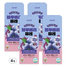 블루베리 퓨레 100% 껍질 과육 통째로 갈아만든 스틱 즙 주스 안토시아닌, 4개, 280ml