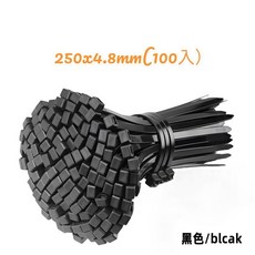 大尺寸尼龍束帶 水電工束線帶 電線收納 延長線收納 理線 線材收納 固定帶 電線固定, 1個, 250x4.8mm(100入)黑