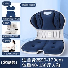 桃園發貨 官方矯正坐墊護腰靠墊，花瓣座墊矯正椅，護脊坐墊座椅，久坐靠背坐墊，撐腰座駝背矯正坐姿矯正器, 常規款【寶藍色】矯姿護腰靠墊