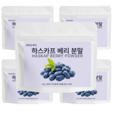 닥터오케이 하스카프베리 분말 100% 베리가루 91g 대용량 3개월분 하스카프베리 c3g 안토시안 C3G 안토시아닌 하스카프베리 추출물, 5개