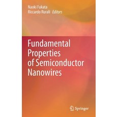 Fundamental Properties of Semiconductor Nanowires Hardcover, Springer, English, 9789811590498