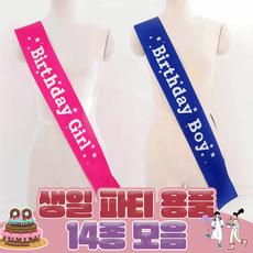 생일파티용품 14종 / 홈파티 생일파티 브라이덜샤워 웨딩 커플 우정 여행 축하띠 티아라_rl, 1개, 02.반짝 벌스데이 걸 띠-실버_FREE