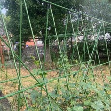 식물지지대 지주대 울타리 식물 고추 원예용 지지대, A. 11 60x60 (가로3 세로6)