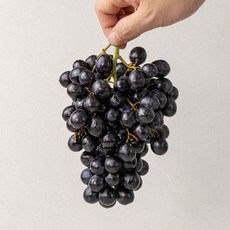 고당도 수입 까망이 블랙 세이블 포도 1kg, 1개