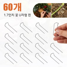 M형 플라워 핀 저그모스 핀 한 상자예요., 60개