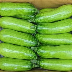 특품 국내산 자연애호박, 5개