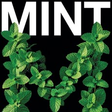 (영문도서)Mint: An illustrated alphabet in two weights Paperback, Independently Published, English, 9798242536395