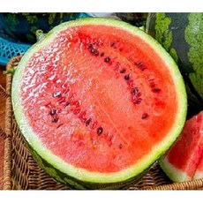 [꿀수박]산지직송 하우스 꿀수박, 1개, 4kg