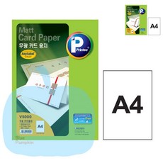 YP 20매 애니 카드용지 V5000 출력용지