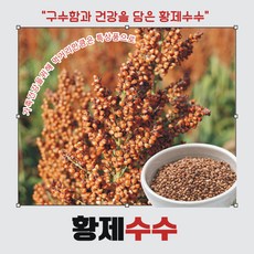 황제찰수수. 특상품찰수수.유기농찰수수.산지수수. 생태농원수수. 생태자연농 수수., 1개, 500g