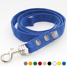 반자네 산책용 강아지 리드줄 야외용 대형 중형 소형견용 기본형 리드줄 BL-17, M(2cm), 1.2m, 파랑, 1개