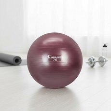 홈트레이닝 안티버스트 산후 임산부 스트레칭, 1개