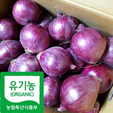 국내산 친환경 자색 양파, 1박스, 1kg