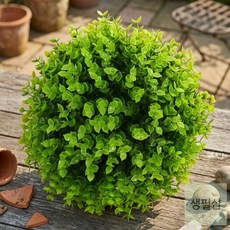 생필샵 실내 조경 잔디볼 이파리 인테리어 플렌테리어 인조 매장 거실