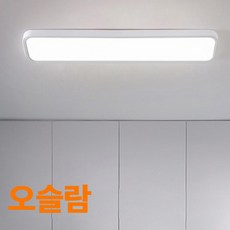 LED 시스템 심플 욕실등 30W 화이트 삼성모듈 플리커프리