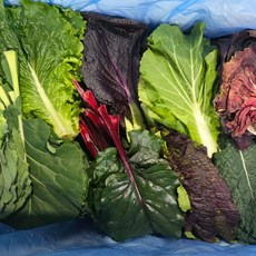 국내산 모듬 쌈채소 모둠쌈채소, 2kg, 1개