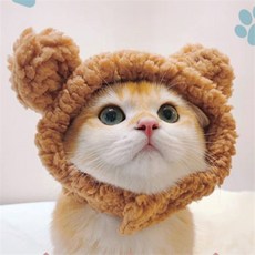 고양이 강아지 모자 옷 용품, 1개, 팬더