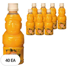 제주향 감귤 한라봉 주스, 40개, 330ml