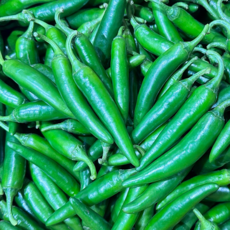 (국내산) 안매운 아삭이 모닝고추 300g 500g 1kg, 1개