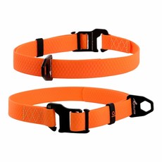 COLLAR 暴龍項圈 犬用寵物項圈, 1個, 暴龍項圈-耀眼橘