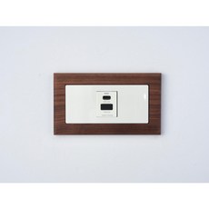 Panasonic國際牌Risna磁吸式黑胡桃木框開關插座面板蓋板【快速出貨】, 1個, 36Ｗ易智typeC+USB（白