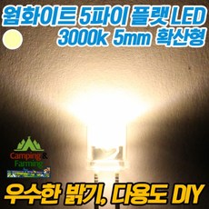 5파이 플랫 확산형LED(웜화이트), 10개, 1개