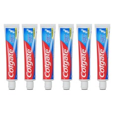 콜게이트 플루오라이드 그레이트 레귤러 플레이버 치약, 100g, 6개