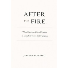 (英文圖書)After the Fire: What Happens When Urgency Is Gone but You're Still Standing 平裝版, Independently Published, 英文