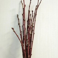 나뭇가지 도원 무릉 30-60cm 부정채 15개 제사 차례 신선, D. 1530cm 길이의 20 개의 막대